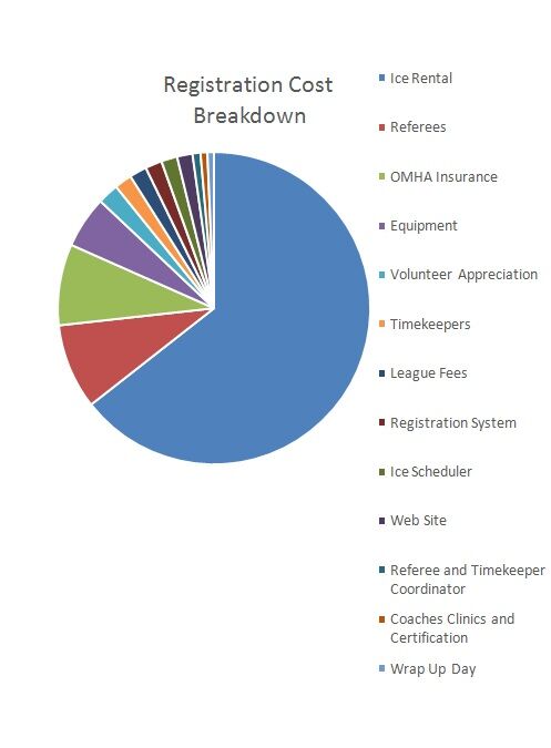 Registration_cost_breakdown_Graph_2024_2025.jpg